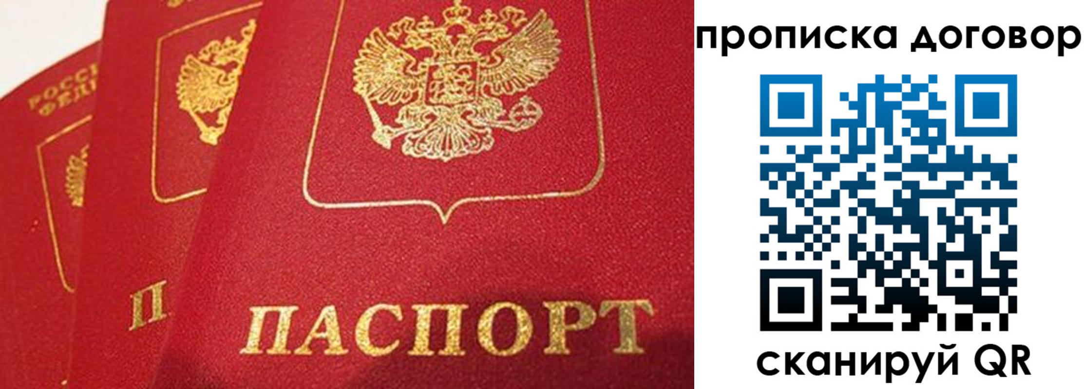 найти адрес прописки в Саратове